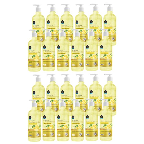 First Class 24 Pack Lemon Grass Essential Oil Antibacterial Handwash- 500ml