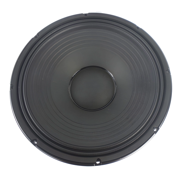 N9 Audio 15N600 15" Loose Speaker