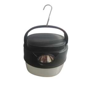 dual light source bulb