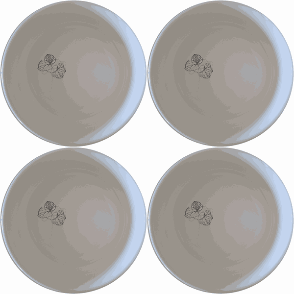 Begonia Maculata Bowl Set of 4 - Range 3