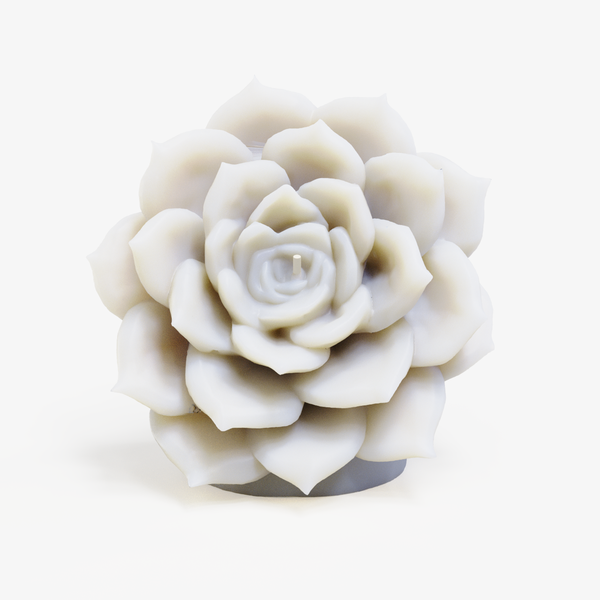 Desert Rosette Aloe Candle