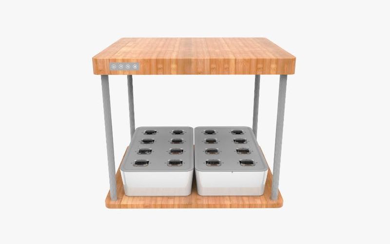 Hydroponic Indoor Smart Garden