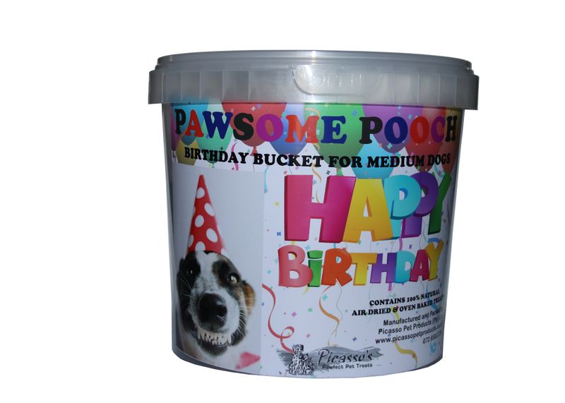 Picasso's - Birthday Bucket for Medium Dogs