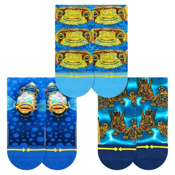 Merge4 Daniel Jean-Baptiste Baby 3 pk Baby Sock (Baby)