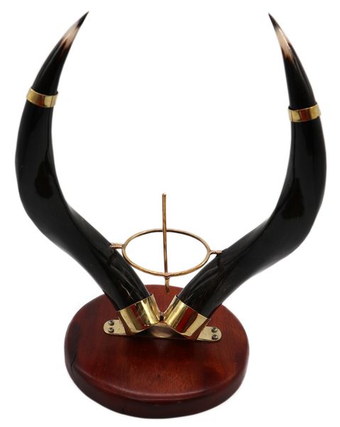 Wildebees Horn Decorative Ostrich Holder and Curio