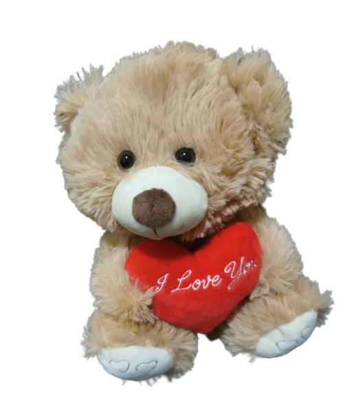 Teddy Bear - I Love You