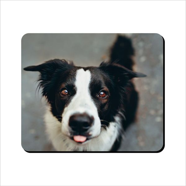 Mouse Pad - Border Collie With Tongue