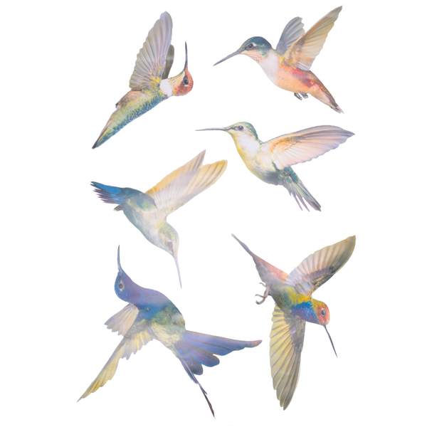 6 Pcs Large Size Bird Clings Anti-Collision Window Clings