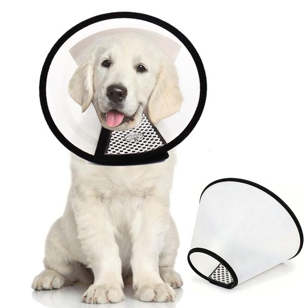 Adjustable Dog Elizabeth Pet Protective Cone Collar for Large Pets Pet- XL