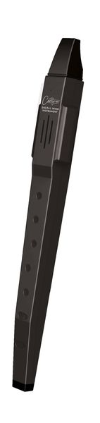 Digital Recorder and Wind Instrument