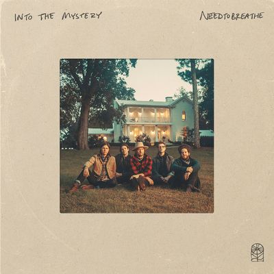 Into the Mystery (Vinyl / 12" Album)