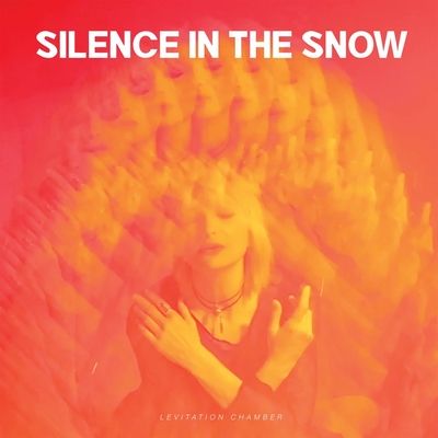 Vinyl / 12" Album Coloured Vinyl image
