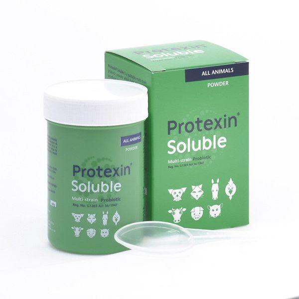 Kyron - Protexin Soluble Probiotic For All Pets (Dogs ,Cats,Horses,Birds)