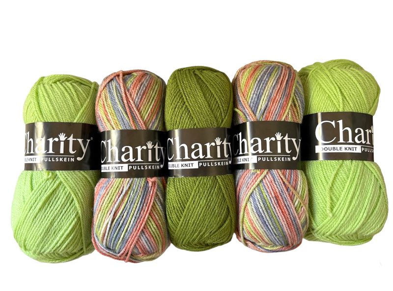 Elle Charity Double Knit 100 % Acrylic Yarn Set of Five Balls (5 x 100g)