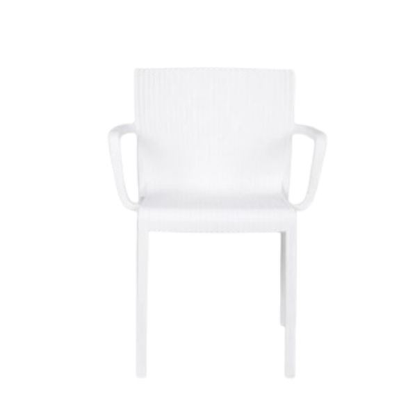 Plastic Dining Chair