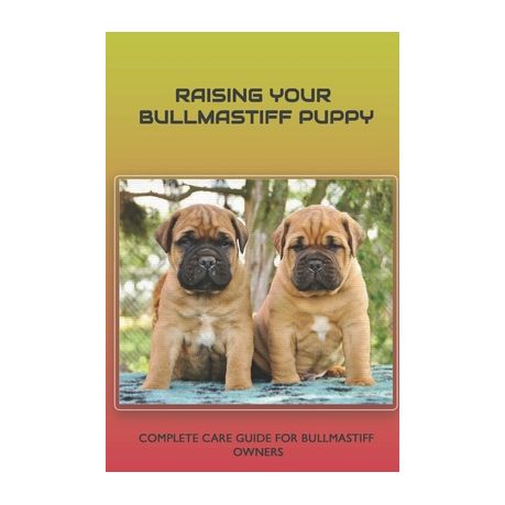 Bullmastiff grooming sale