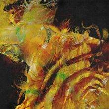 Heaven in Hiding (CD / Box Set)
