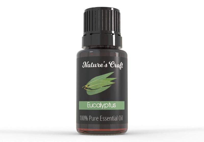 Nature's Craft Pure Eucalyptus Essential Oil 50ml
