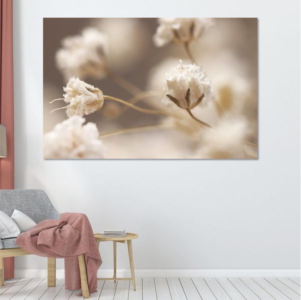 Gypsophila Flowers in Detail - 150 x 100cm (Landscape)