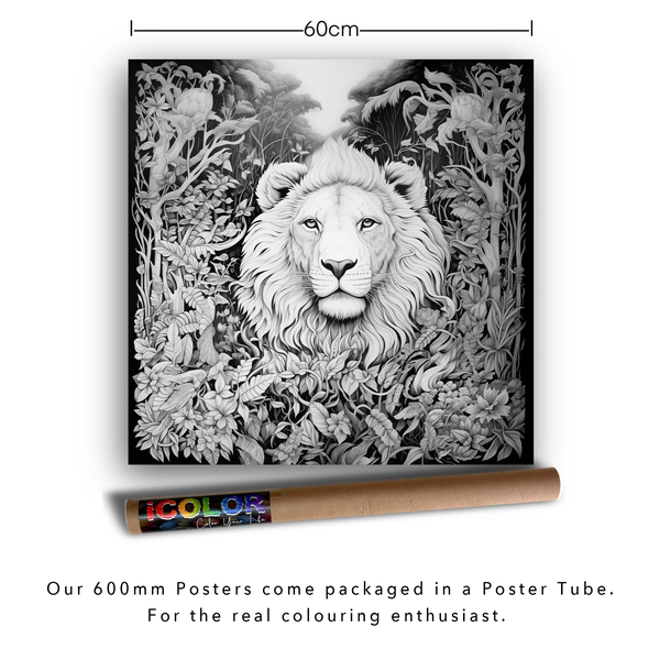 iColor Large Colouring Poster JUNGLE LION