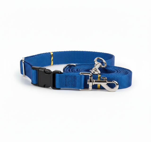 Pet Mall Dog Collar and Lead Set - Adjustable for Comfort and Control