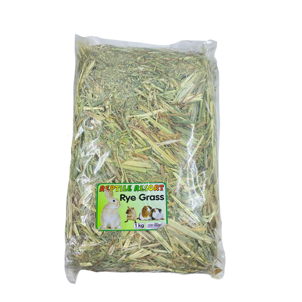 Reptile Resort Rye Grass 1KG