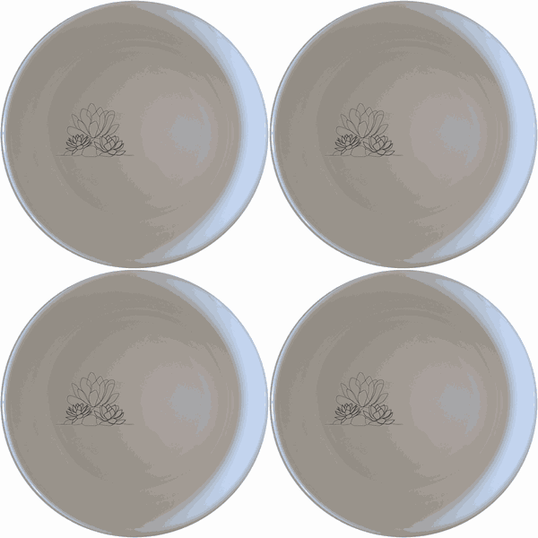 Succulent Garden Bowl Set of 4 - Range 4