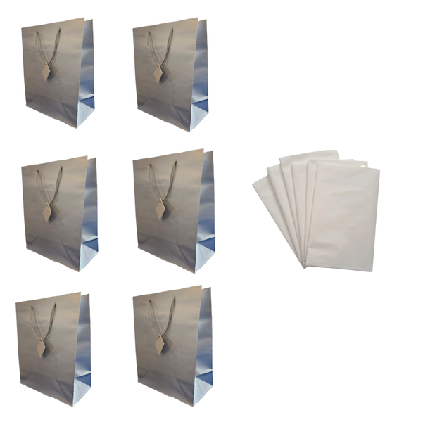 Silver Gift Bag &amp; Tissue Paper Set - 6 Bags