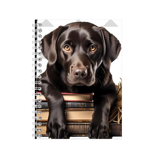Wise A5 Notebook Spiral and Lined Golden Retriever Graphic Notepad Gift 184