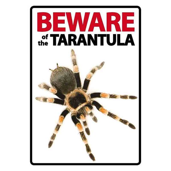Beware of the Tarantula