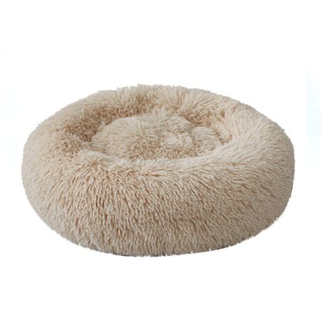 takealot dog beds