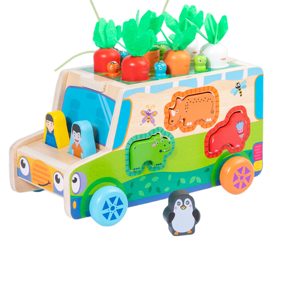 Montessori Educational Wooden Toys: Shape Sorting