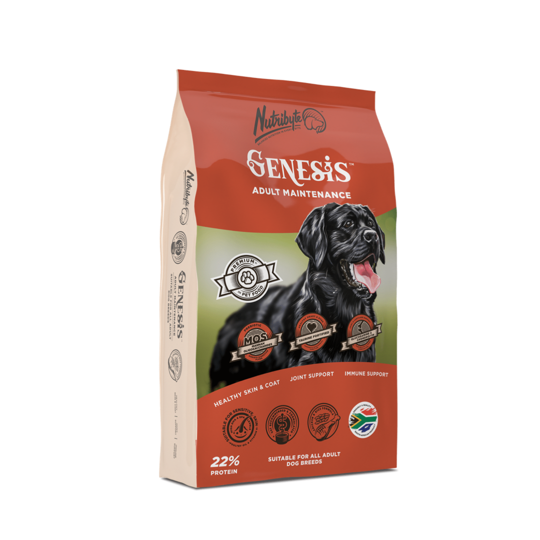 Nutribyte Adult Maintenance Dog Food Buy Online In South Africa 