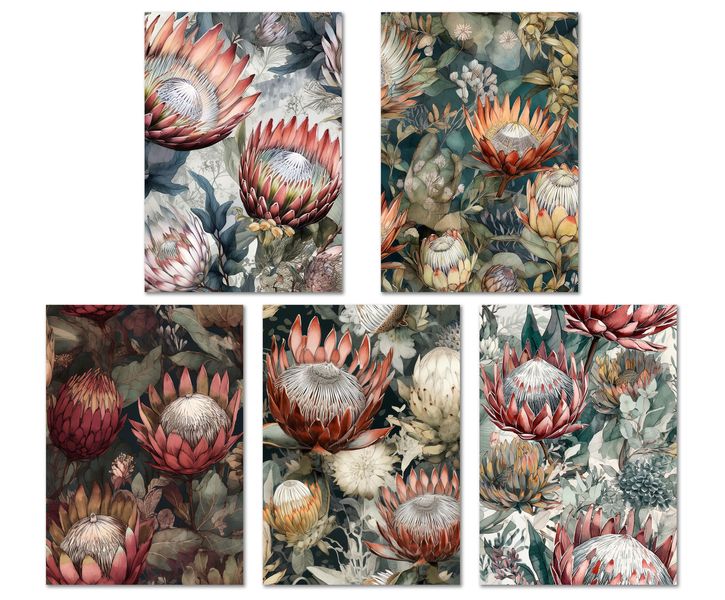 Greeting Cards: MOODY PROTEAS (5 Pack)