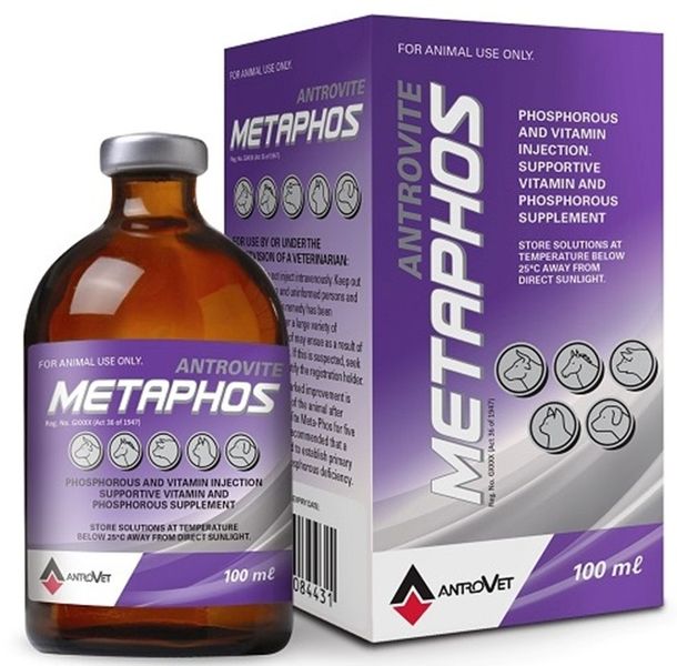 Antrovet - Metaphos 100ml Phosphorus &amp; Vitamin B Injection