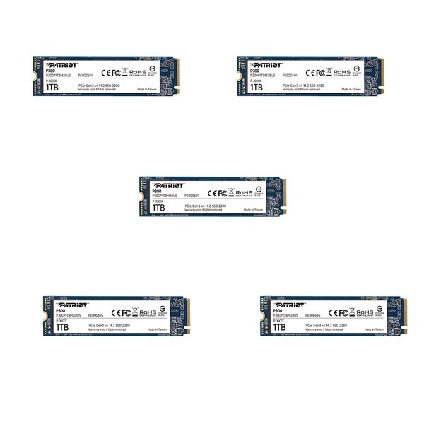 Patriot P300 1TB M.2 PCIe SSD (5 Pack)