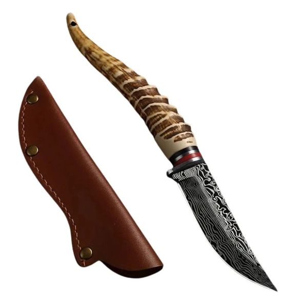 Impala Horn Handle, Stainless Steel Knife