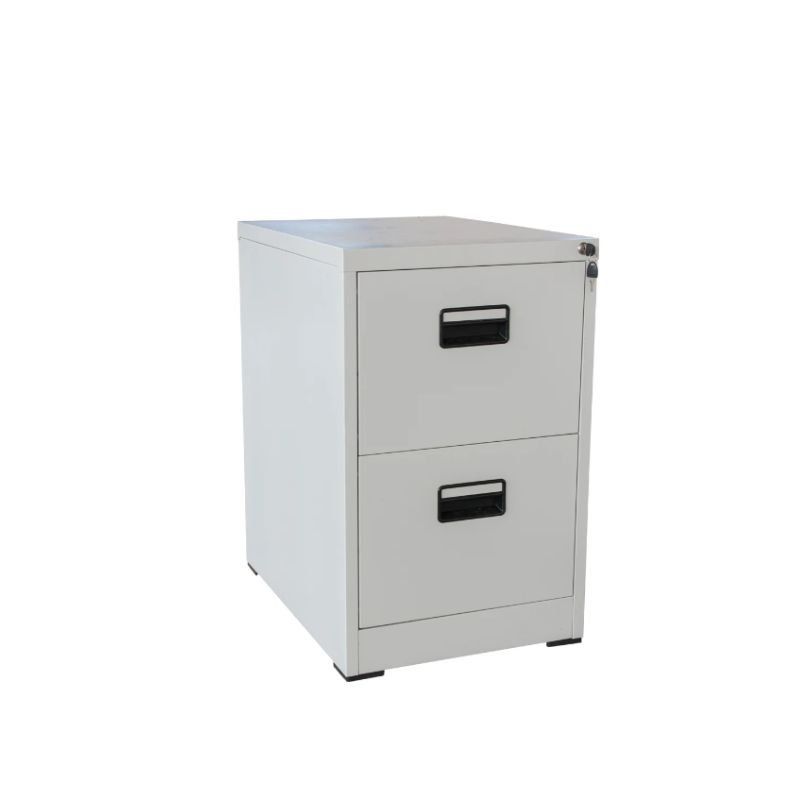 45 x 45 x 105cm 2-Drawer Office Steel File Cabinet WG-2 | Shop Today ...