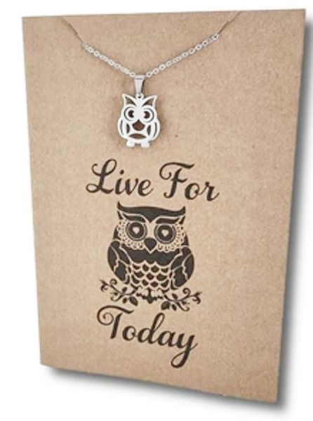 Owl Live For Today image