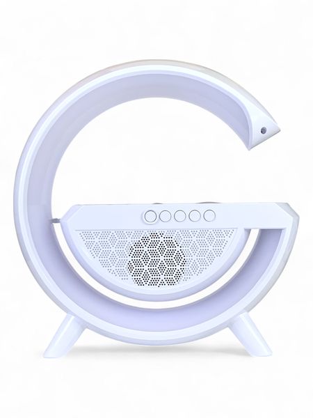 GB Wireless Speaker with FM Radio, Wireless Charging and USB/TF Play