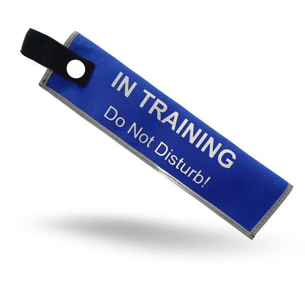 Safe Strides Alert Sleeve - In training