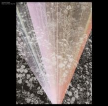Only Love from Now On (Vinyl / 12" Album)
