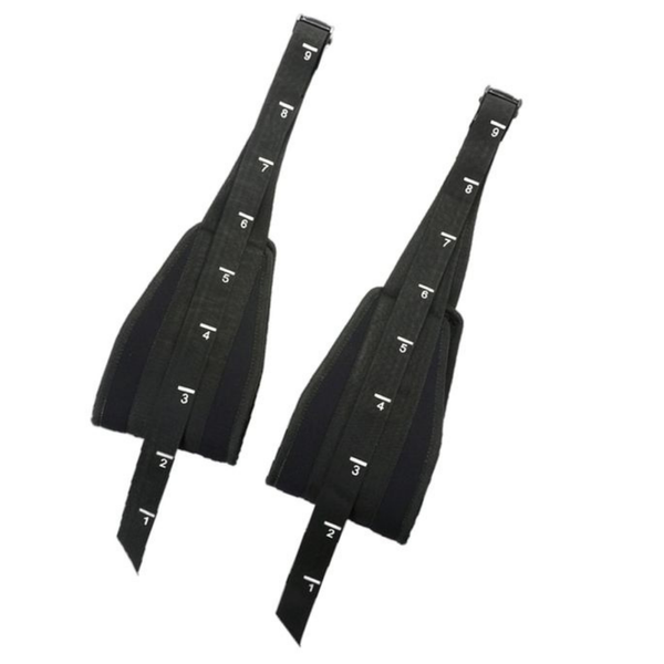 Scaled Ab Hanger Swings - Ligum Fight Gear