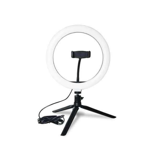 Tech Geeks Desktop 10 Inch LED Ring Light &amp; Stand for Live Streaming, TikTok