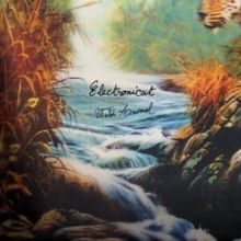Wild Animal (Vinyl / 12" Album)