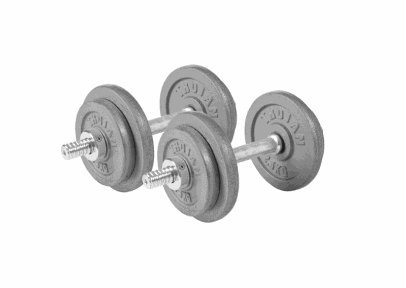 Trojan Dumbbell Set 20kg
