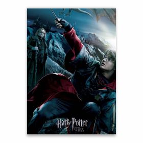 Harry Potter And The Goblet Of Fire Movie Poster A1 Shop Today Get