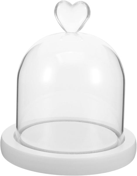 Multipurpose Glass Dome on Wooden Stand