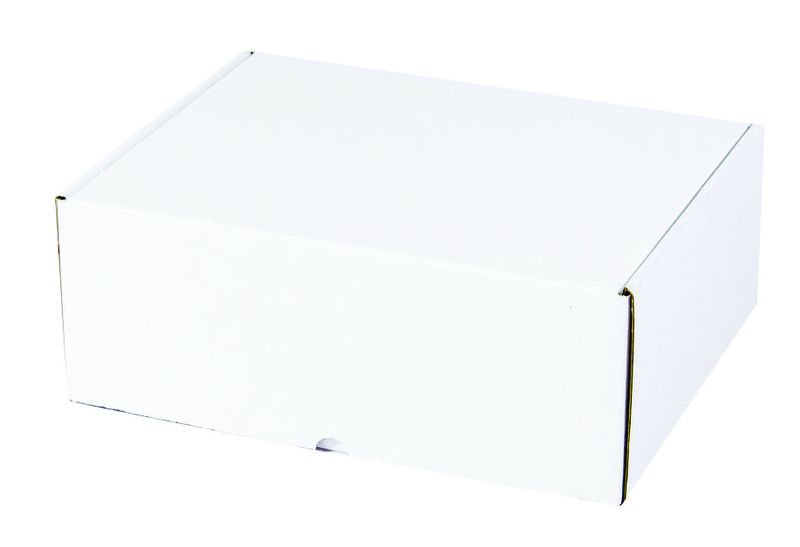 Mailer Box | 265x195x60mm | Pack of 25