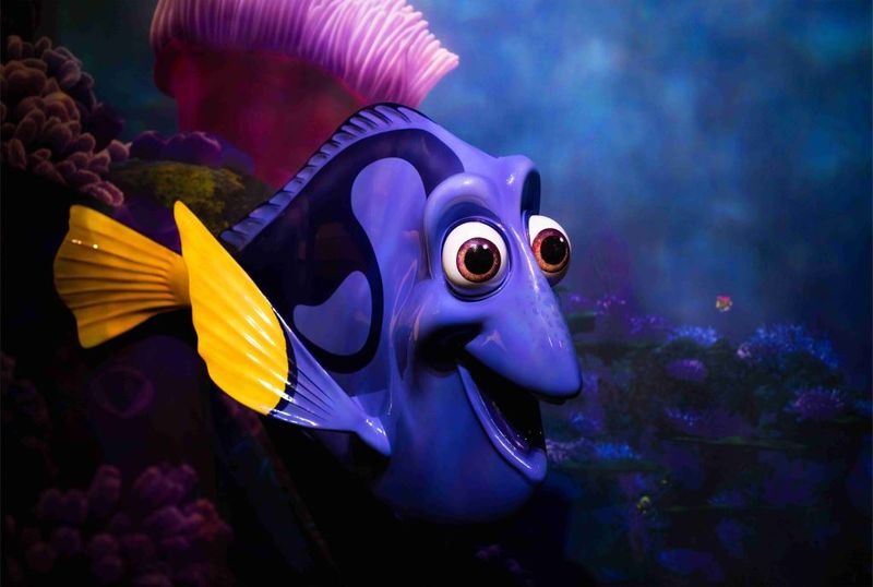 Laptop Skin Dory